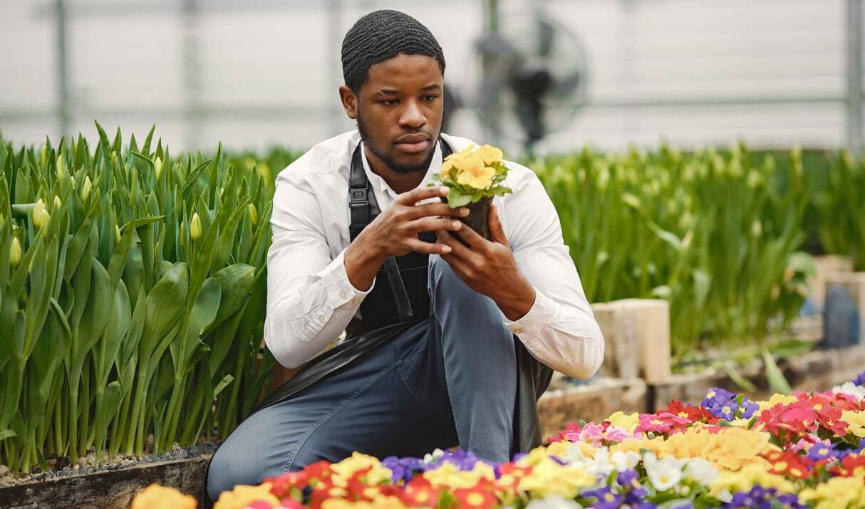 Nullam Mollis Quam Inceptos Ridiculus