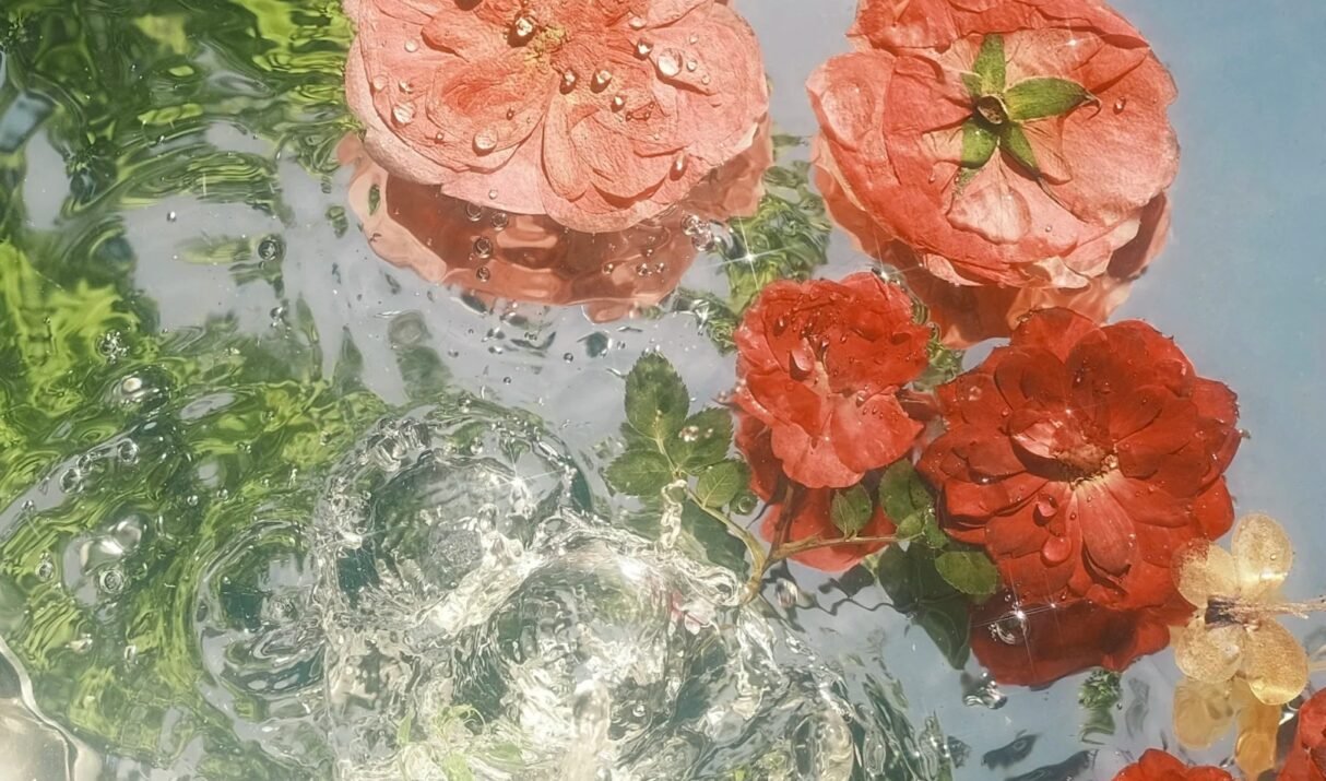 Understanding the Fragrance Notes: A Key to Choosing Your Perfect Perfume