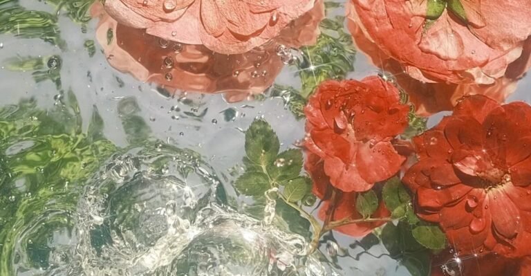 Understanding the Fragrance Notes: A Key to Choosing Your Perfect Perfume